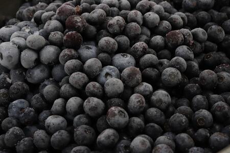 ブルーベリー冷凍果 500g×2パック