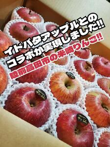 スパイスラムカレーwithイドバタアップル 6個