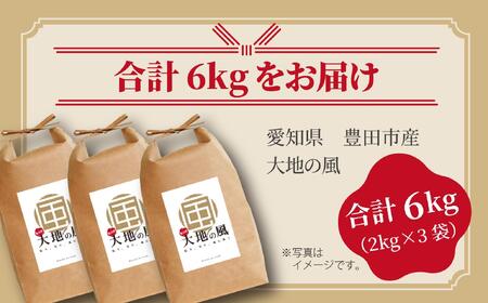 愛知県産 精米 大地の風 10㎏ - メルカリ