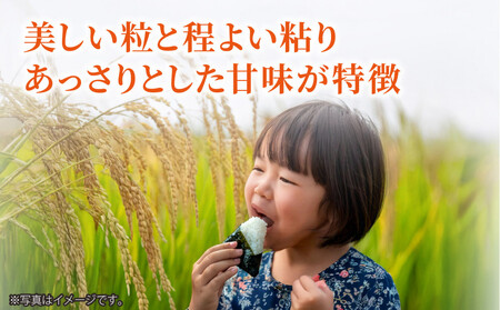 【令和7年産】豊田市産「大地の風」精米5kg（1袋）