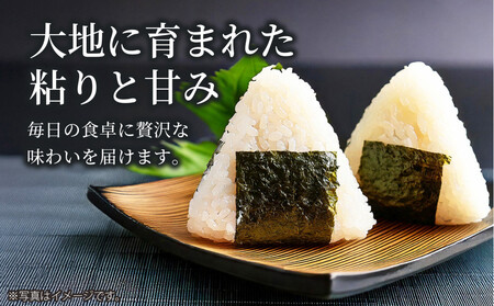 【令和7年産】豊田市産「大地の風」精米5kg（1袋）