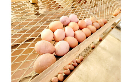 「こだわり新鮮たまご」2パック(20個)&愛知県産おいしいブランド米(2kg) セット