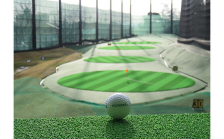 ゴルフクラブルミナス 施設利用券 11,000円分