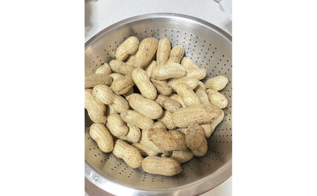 【先行受付・数量限定】愛知県豊田市産 【生落花生】 1.5kg(2026年9月中旬より発送予定)