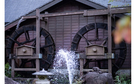 【令和7年産 新米】精米「ミネアサヒ」5kg