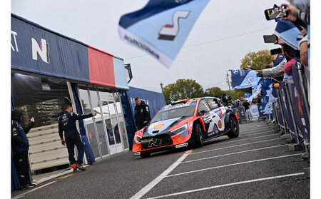 ラリージャパン【豊田スタジアムサービスパーク入場券／大人１名】5月29日（金）