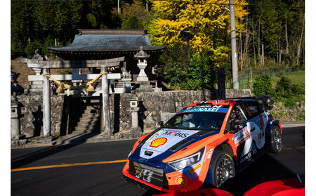 ラリージャパン【三河湖SS（三河湖観戦エリア）観戦券／大人１名（トヨタテクニカルセンター下山駐車場P&R）】5月31日（日）