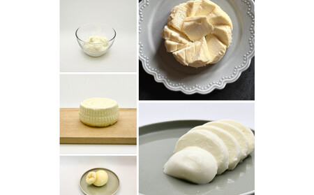 ＜定期便12回＞【MOFコンテスト金賞受賞】ファーベル5種のチーズセット