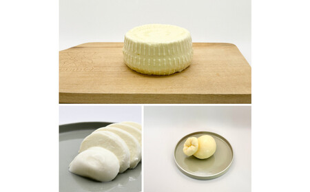 <定期便6回>【MOFコンテスト金賞受賞】ファーベル3種のチーズセット