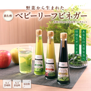 愛知県豊田市産ベビーリーフビネガー200mL3本セット(4倍希釈)