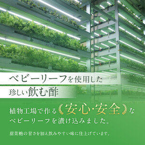 愛知県豊田市産ベビーリーフビネガー200mL3本セット(4倍希釈)