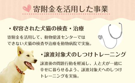【お礼の品なし】豊田市動物愛護事業