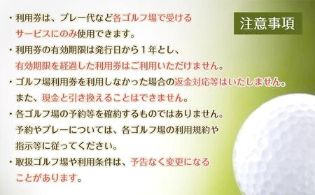 豊田市ゴルフ場利用券１０枚（市内１６ゴルフ場利用可）【ゴルフ ゴルフ場 ゴルフ場利用券 ゴルフ練習 ゴルフプレー ゴルフ好き スポーツ 愛知県 豊田市 BK003】