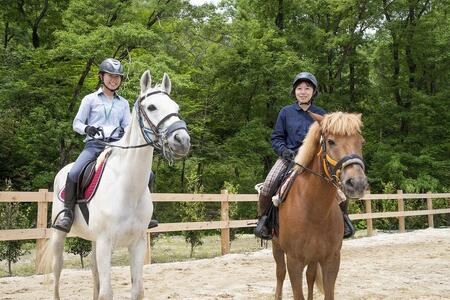 乗馬レッスンチケット！初心者からできる　乗馬共通利用券　【乗馬共通チケット】 3枚