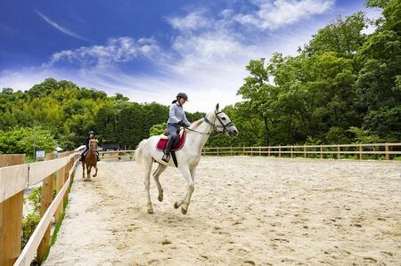 乗馬レッスンチケット！初心者からできる　乗馬共通利用券　【乗馬共通チケット】 3枚