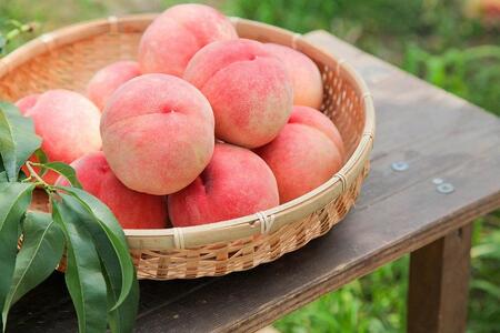 無添加！豊田市産の桃・とうもろこしのクラフトアイス アイス