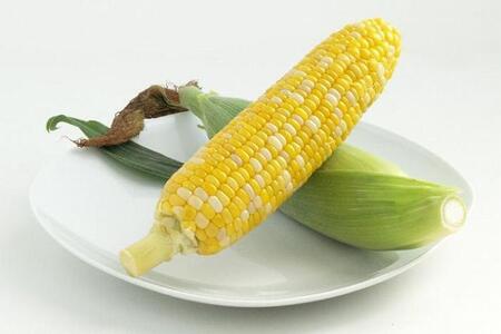 無添加！豊田市産トウモロコシのクラフトアイス（6個入り） アイス