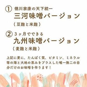 ストレスチェック&あなたのなりたいを叶える食提案付 栄養プラス味噌作り体験チケット【1名様 約2時間】