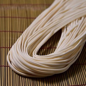 和泉手延べ麺 たつみ麺店の半生もどし長うどん(18人前)【1133583】