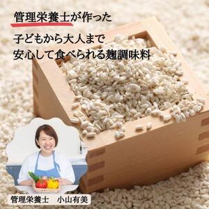 無添加 塩麹・玉ねぎ麹セット【配送不可地域:離島】【1468070】