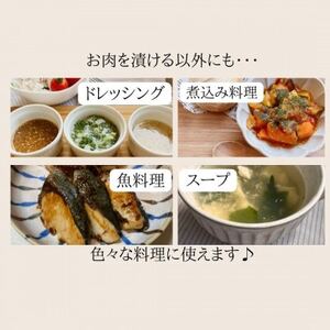 無添加 塩麹・玉ねぎ麹セット【配送不可地域:離島】【1468070】