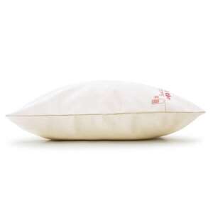 テンピュール(R) オリジナル クッション 安城市デザイン【73014497】【1467903】