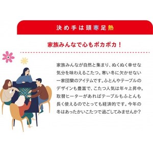 愛知県安城市 こたつ用取替ヒーターMCU-501EC(KB)【1533848】