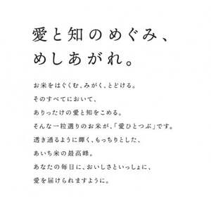 愛知県産 ブランド米「愛ひとつぶ」パックご飯 150g×36パック【1581336】