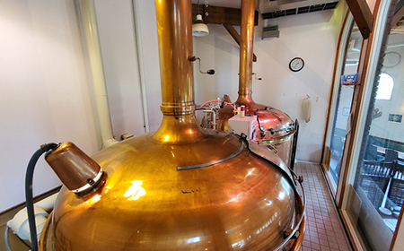 DENZOOLAND飲み比べ8本詰め合わせセット【配送不可地域:離島】【1633593】