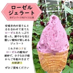 デンパーク入園券2枚+ローゼルジェラート引換券2枚/愛知県安城市【1686737】