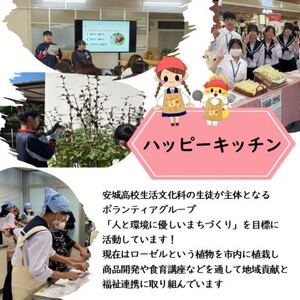 デンパーク入園券2枚+ローゼルジェラート引換券2枚/愛知県安城市【1686737】