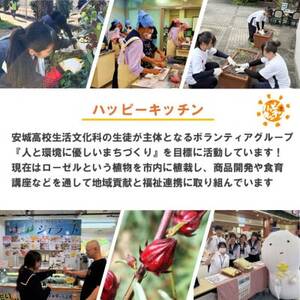 デンパーク入園券2枚+ローゼルジェラート引換券2枚+パン作り体験券1枚/愛知県安城市【1686739】