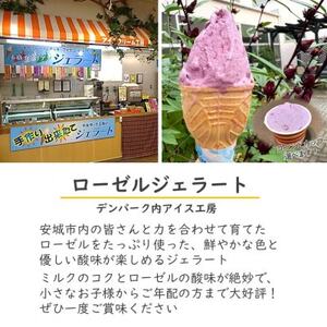 デンパーク入園券2枚+ローゼルジェラート引換券2枚+マグカップ絵付け体験券1枚/愛知県安城市【1686740】