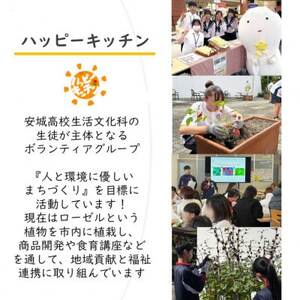 デンパーク入園券2枚+ローゼルジェラート引換券2枚+マグカップ絵付け体験券1枚/愛知県安城市【1686740】