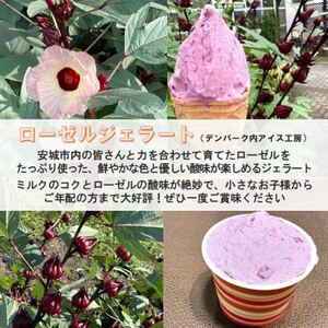 デンパーク入園券2枚+ローゼルジェラート引換券2枚+スノードーム作り体験券1枚/愛知県安城市【1686741】