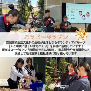 デンパーク入園券2枚+ローゼルジェラート引換券2枚+スノードーム作り体験券1枚/愛知県安城市【1686741】