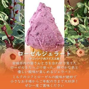 デンパーク入園券2枚+ローゼルジェラート引換券2枚+クッキー作り体験券1枚/愛知県安城市【1686742】