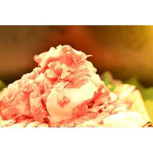 愛知県安城市産 安城和牛 切り落とし 300g×2パック【配送不可地域:離島】【1141447】