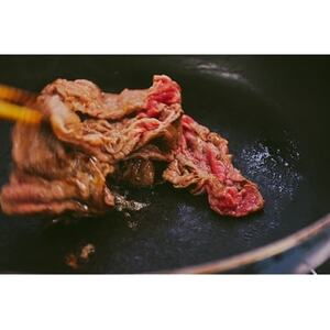 愛知県安城市産 安城和牛 切り落とし 300g×2パック【配送不可地域:離島】【1141447】