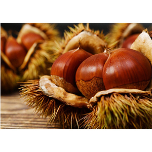 デ・レーヴの毬栗ショコラテリーヌプリン【配送不可地域：離島】【1283756】