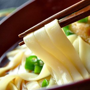 和泉手延べ麺　乾きしめん24人前　たつみ麺店(SDLK12)【1298179】