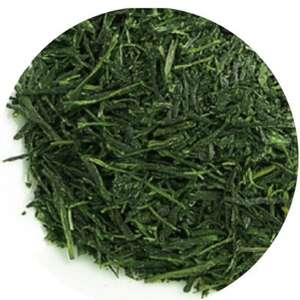 百年茶樹　善一郎(玉露)【1341235】