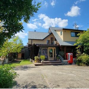 保護猫ホーム＆カフェねこらぼ　施設ご利用券　3000円分【1349586】