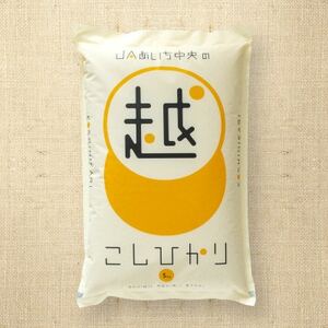 愛知県産コシヒカリ白米5kg【1419824】