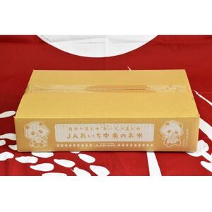 愛知県産コシヒカリ白米5kg【1419824】