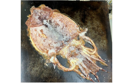 いか姿焼き(4枚)セット・M023-13