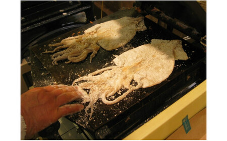 いか姿焼き(4枚)セット・M023-13