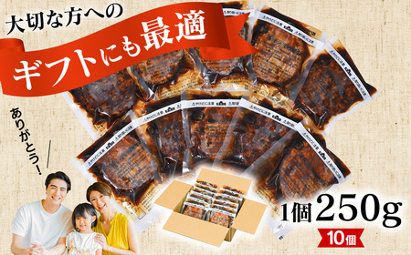 【250ｇ×10個】精肉卸問屋が自信をもってお届けする特大ハンバーグ（デミグラスソース）・T098