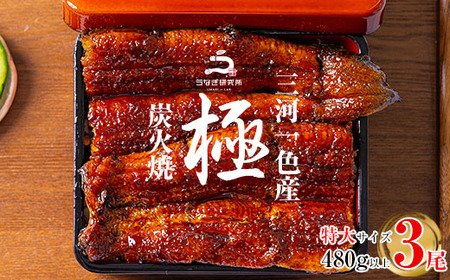 三河一色産うなぎ蒲焼特大3尾(480g以上)・R008