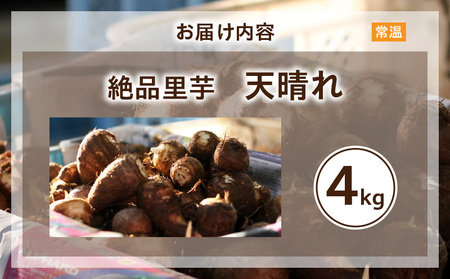 絶品里芋　～天晴れ～　4kg・S067